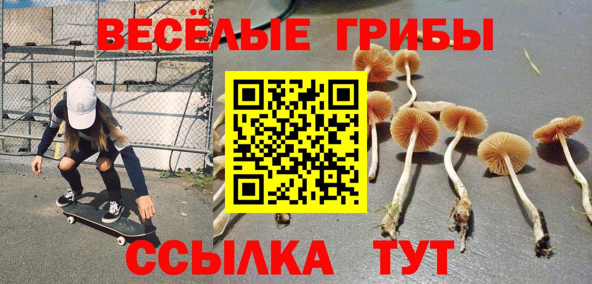 Галлюциногенные грибы прущие грибы  Вход с VPN  Галлюциногенные грибы GOLDEN TEACHER  Волжск 